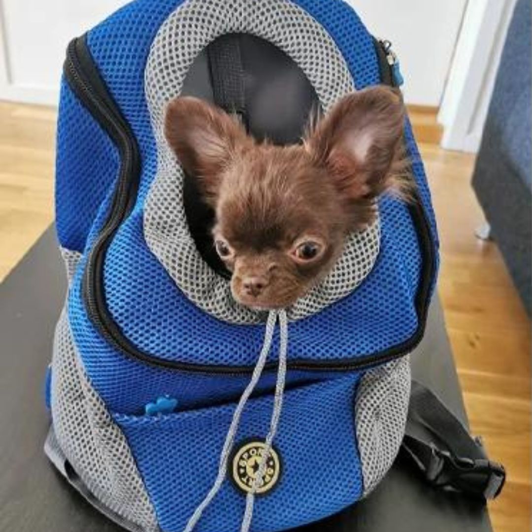 Travelpet™