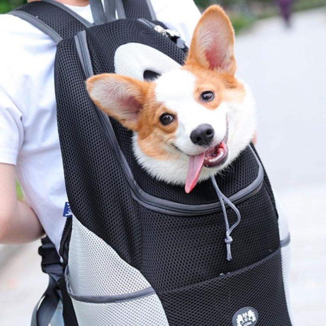 Travelpet™