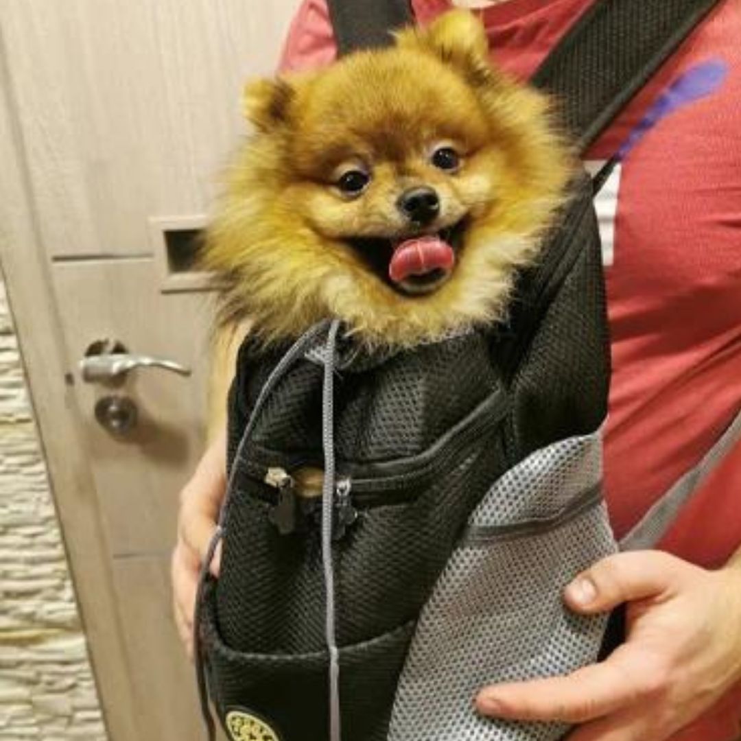 Travelpet™